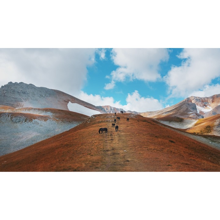 PVC matrica tapéta 80x130 cm A hegyek mestereinek lovai