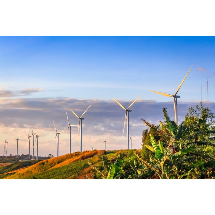 PVC matrica tapéta 80x130 cm Turbinamező