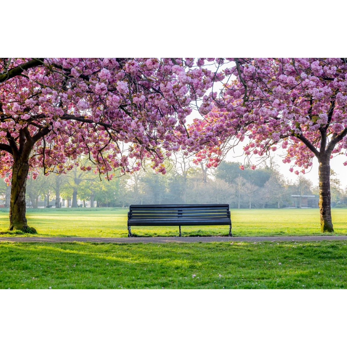 Fototapet autocolant PVC 70x120 cm Pe o banca din parc