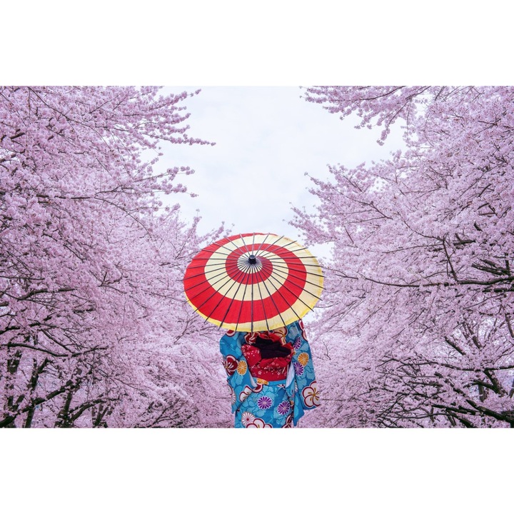 PERSONA Fotótapéta, Nő a cseresznyefák között, PVC, 80 x 130 cm