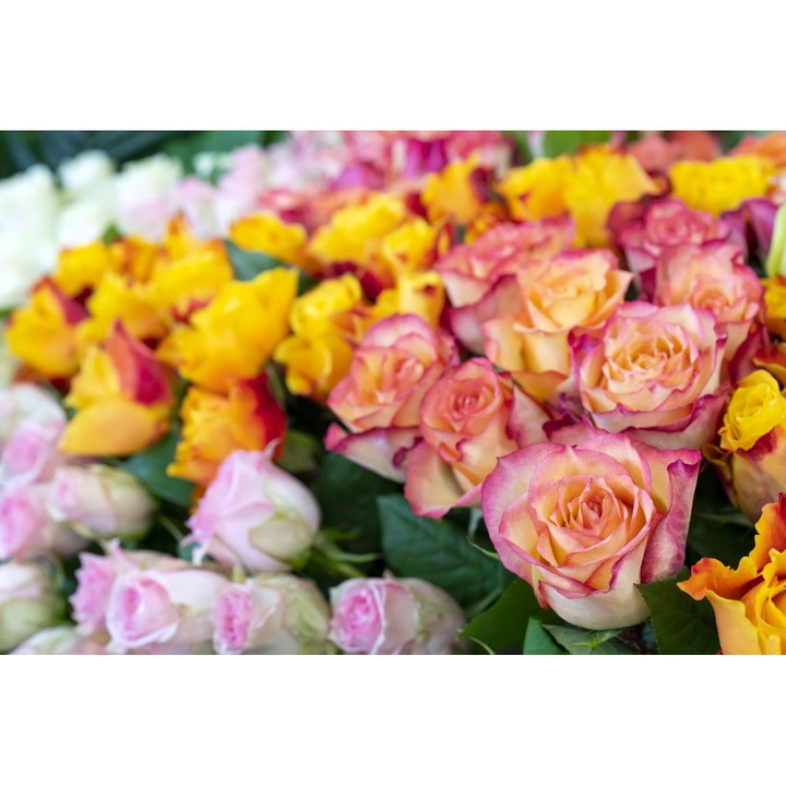 PVC matrica tapéta 80x130 cm A virágok szépsége 10. modell