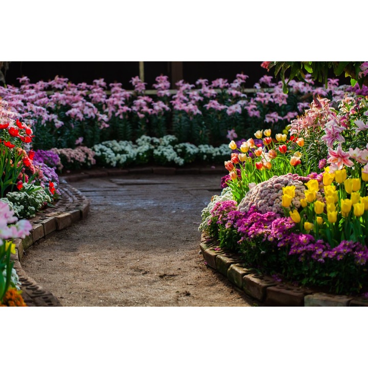 PVC matrica tapéta 80x130 cm A virágok szépsége 3. modell