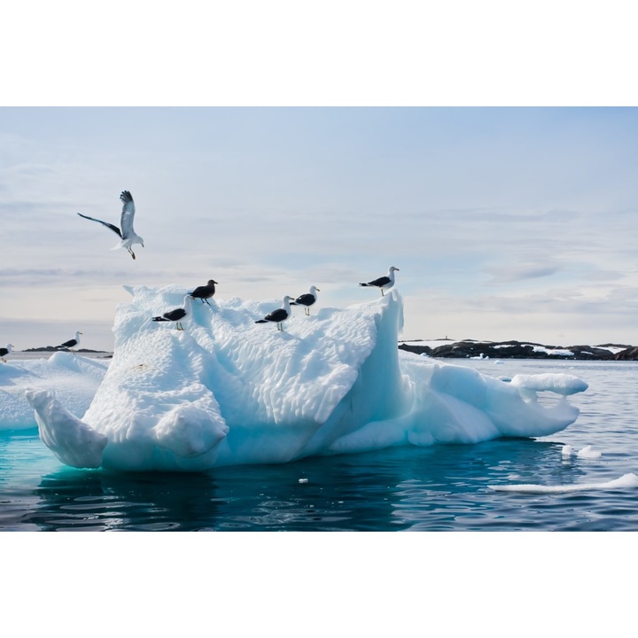 PVC matrica tapéta 80x130 cm Iceberg modell 8