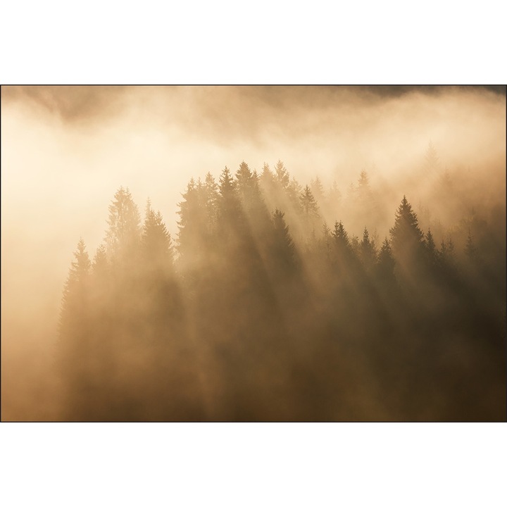 Фототапет Мъглива гора 180см x 120см Спалня, Хол, Пейзаж, Природа