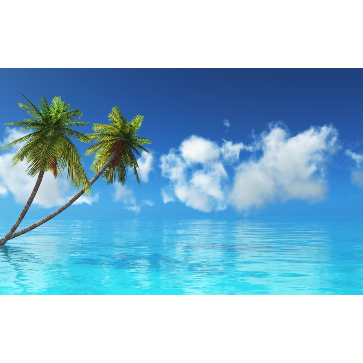 Fototapet autocolant PVC 75x100 cm Palmieri pe apa