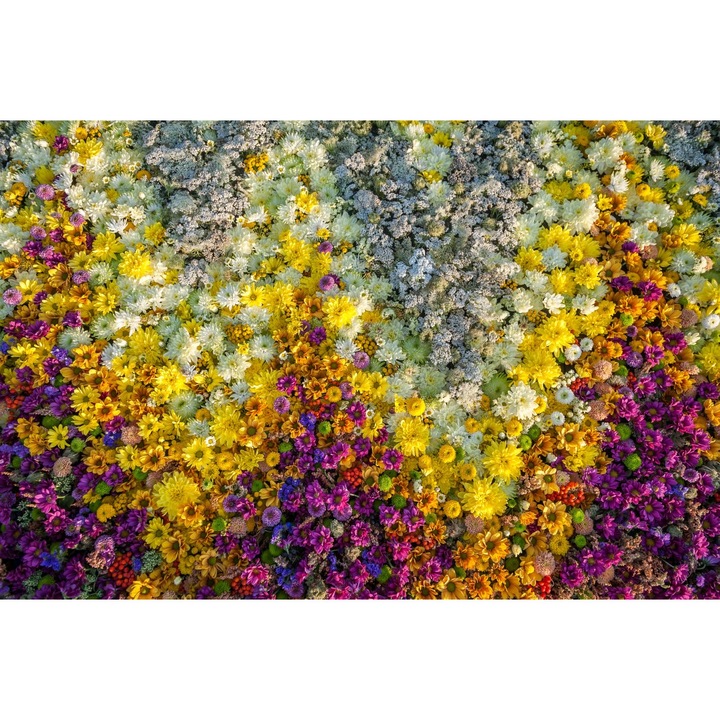 PVC matrica tapéta 80x130 cm Virágszőnyeg modell 8