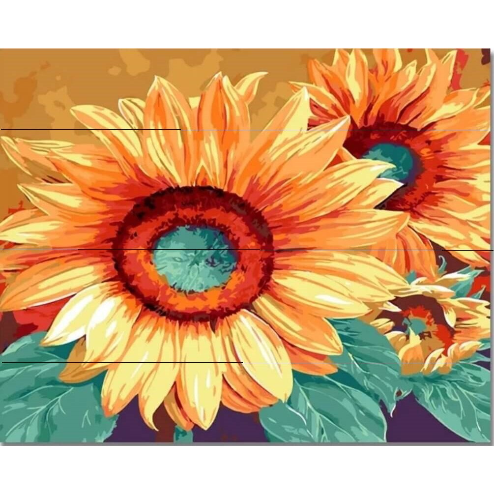 Pictura pe numere, pe Lemn 40*50 cm W001