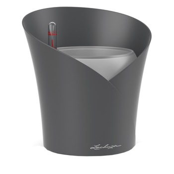 Ghiveci Lechuza Orchidea (18,3 x 17,9 x 19,5 cm) Slate 13961 Ghiveci Lechuza Orchidea (18,3 x 17,9 x 19,5 cm) Slate 13961