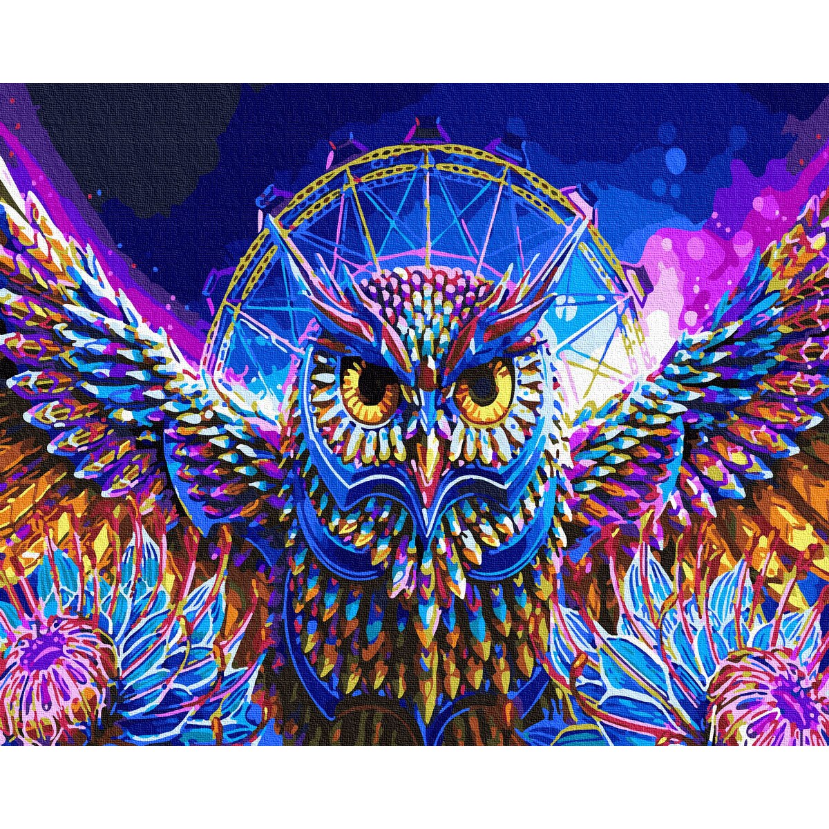 Set picturi pe numere, Acuarello, Magic Owl, 40x50cm, culori acrilice, pensule, panza incadrata pe o rama de lemn