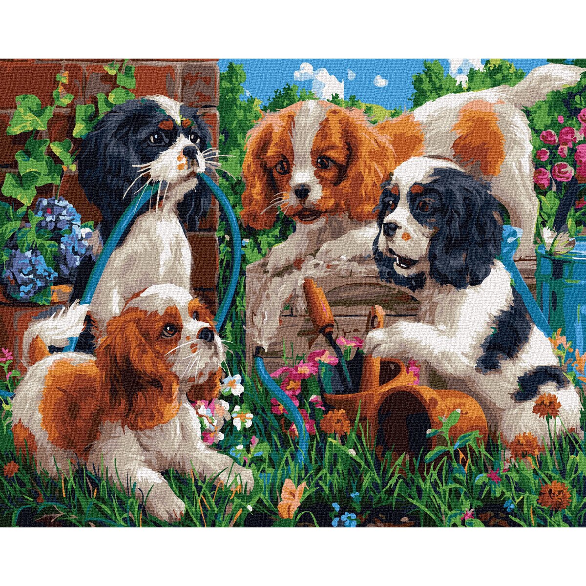 Set Picturi Pe Numere Acuarello Happy Dogs 40x50cm Culori Acrilice Pensule Panza Incadrata Pe O Rama De Lemn Emag Ro