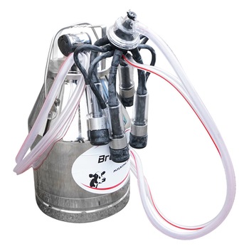 Bidon de inox 30 L complet cu capac etans si clipsuri de prindere pentru muls germicidal Breckner Germany Bidon de inox 30 L complet cu capac etans si clipsuri de prindere pentru muls germicidal Breckner Germany