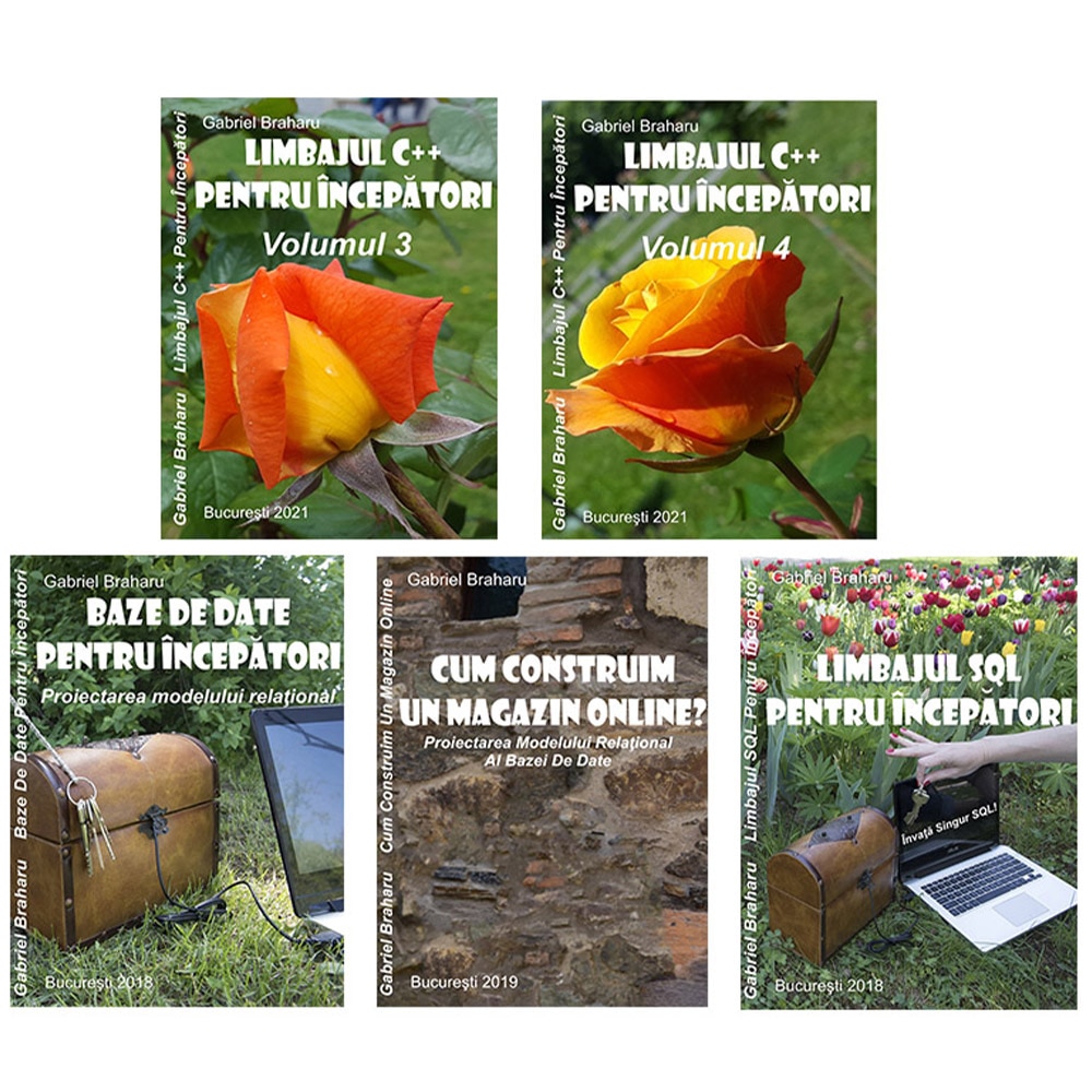 Set de 5 Carti Programare Incepatori (4), Gabriel Braharu, Colectia 