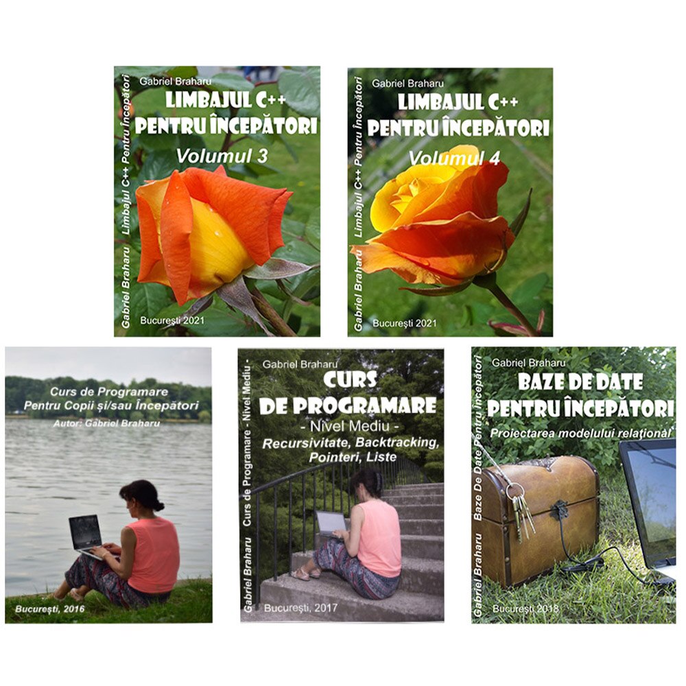 Set de 5 Carti Programare Incepatori (3), Gabriel Braharu, Colectia 
