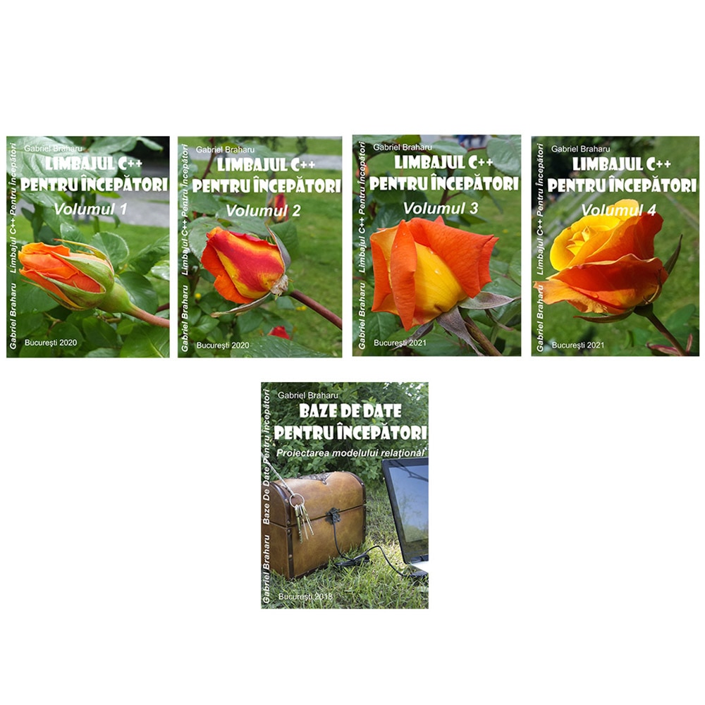 Set de 5 Carti Programare Incepatori (6), Gabriel Braharu, Colectia 