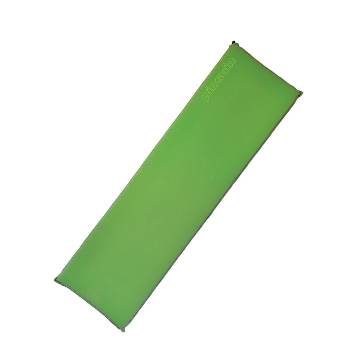 Saltea autogonflabila Pinguin Horn 20 green