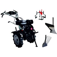pachet motocultivator technoworker hb 700 rs eco cu accesorii plug cartofi plug reglabil prasitoare roti cauciuc 410 rse053 imagen 11_0_
0
