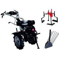 pachet motocultivator technoworker hb 700 rs eco cu accesorii plug cartofi  prasitoare  roti cauciuc 410 rse05211 imagen 23_0_
0