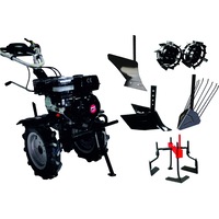 pachet motocultivator technoworker hb 700 rs eco cu accesorii plug simplu plug cartofi plug reglabil roti metal 48 prasitoare roti cauciuc 410 rse05 imagen 9_0_
0