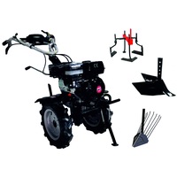 pachet motocultivator technoworker hb 700 rs eco cu accesorii plug cartofi plug arat prasitoare roti cauciuc 410 rse0531 imagen 28_0_
0