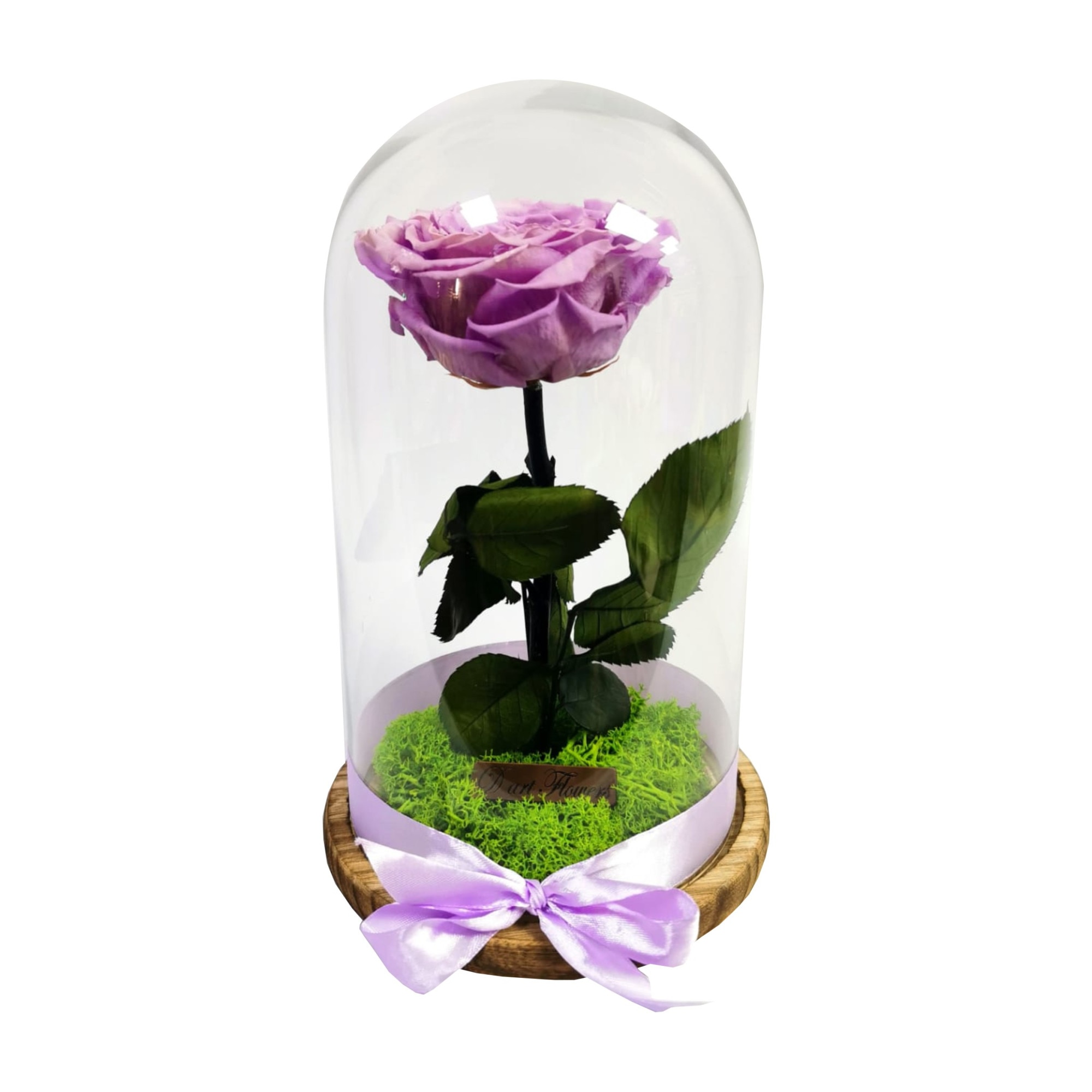 Trandafir Criogenat in cupola de sticla 26 cm pe blat de lemn natur, Mov cu licheni stabilizati verde, Cutie cadou de carton