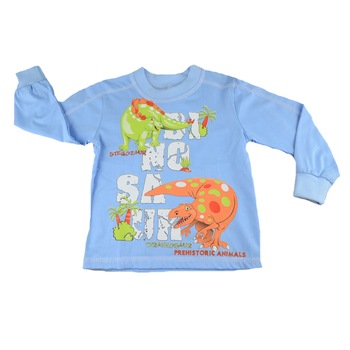 Bluza cu maneca lunga pentru baieti NN BLZM7-AL, Multicolor, 86 Bluza cu maneca lunga pentru baieti NN BLZM7-AL, Multicolor, 86