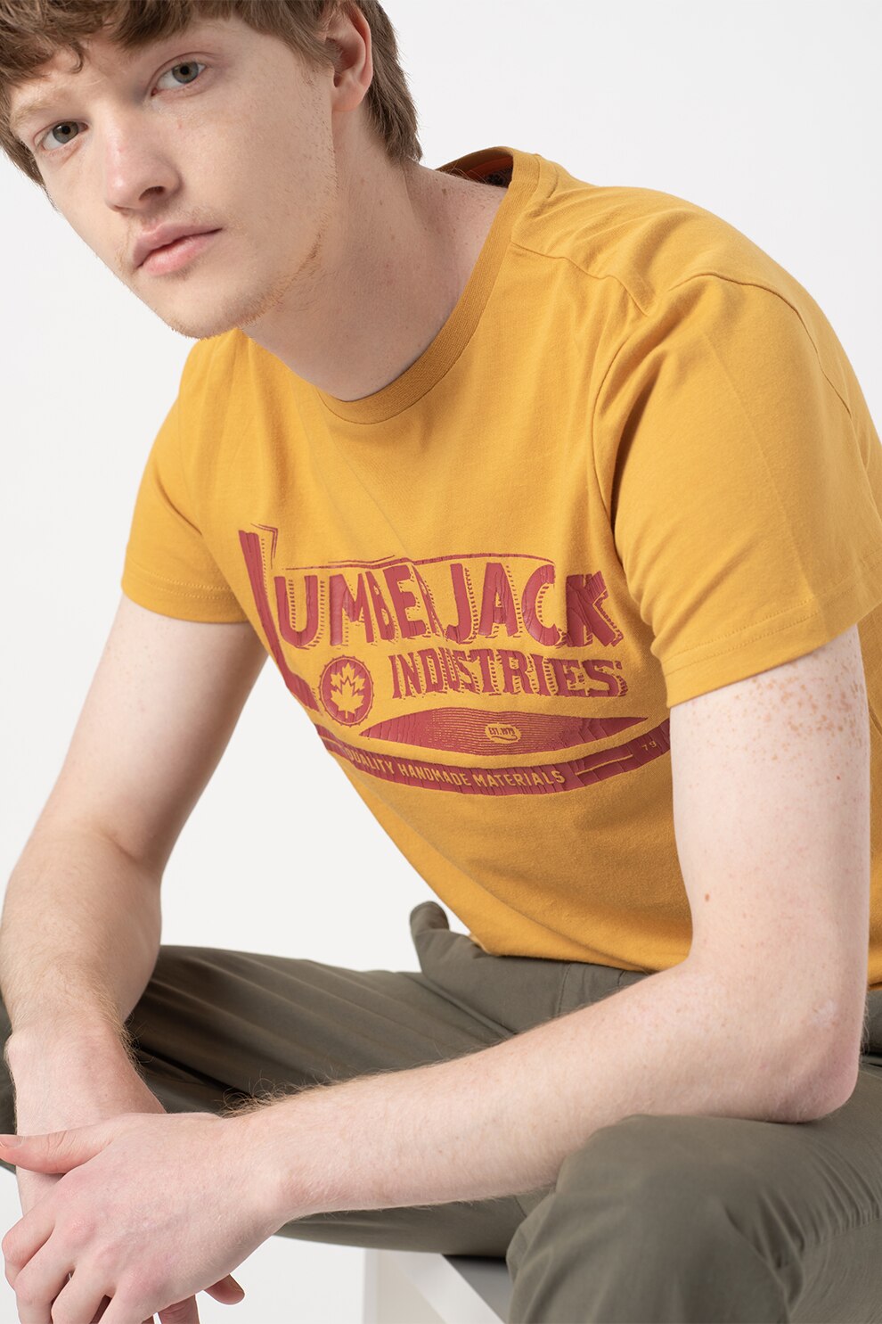 Lumberjack, Tricou cu imprimeu logo Tees, Galben sofran