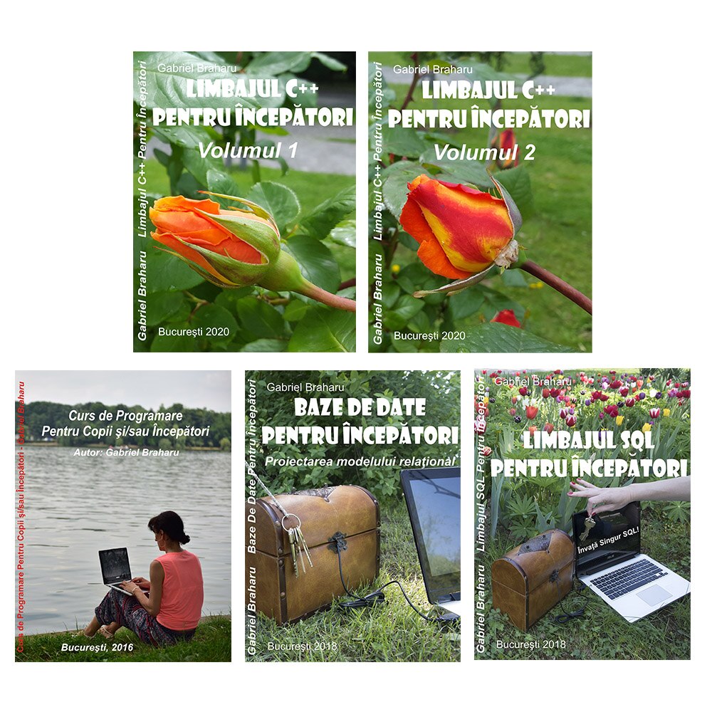 Set de 5 Carti Programare Incepatori (12), Gabriel Braharu, Colectia 