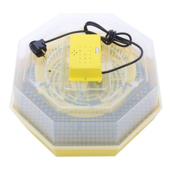 Incubator electric oua Cleo 5 Simplu , 60 oua de gaina, 150 oua prepelita Incubator electric oua Cleo 5 Simplu , 60 oua de gaina, 150 oua prepelita