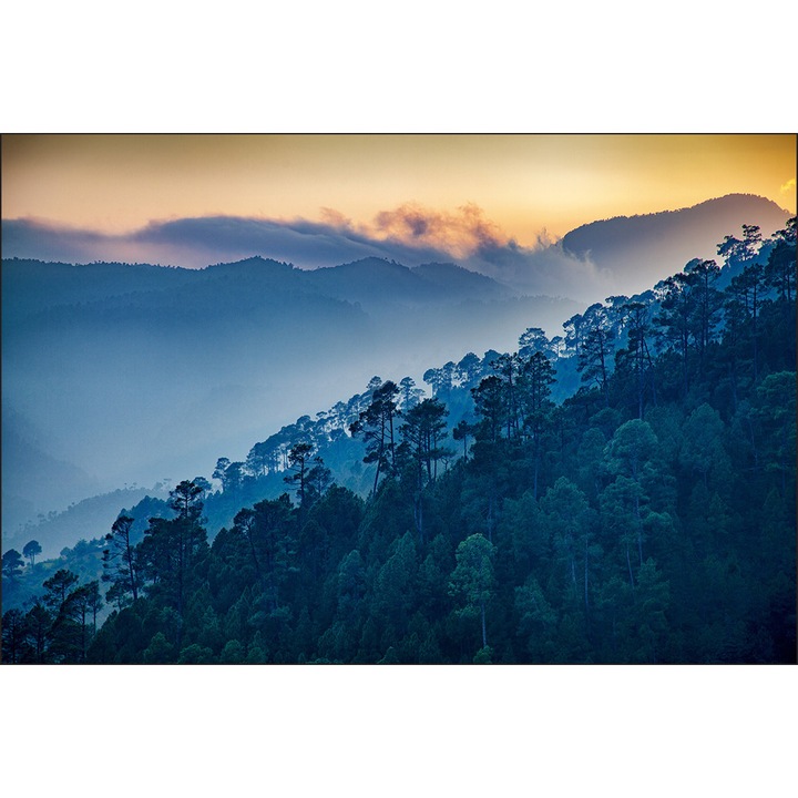 Fototapet Padure Munti 135cm x 90cm Peisaj 3D, Vedere, Nori, Cer, Dormitor, Living