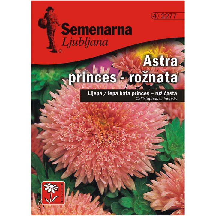 Семена за цветя Semenarna, Астра принцес, розова