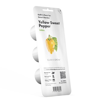 Seminte de ardei galben dulce, 50 g Seminte de ardei galben dulce, 50 g