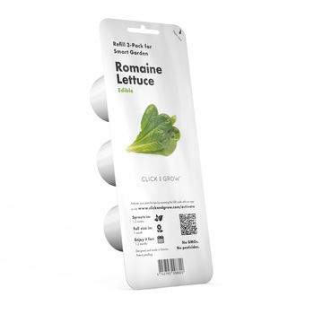 Seminte de salata, 50 g Seminte de salata, 50 g