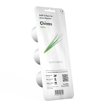 Seminte de ceapa verde, 50 g Seminte de ceapa verde, 50 g
