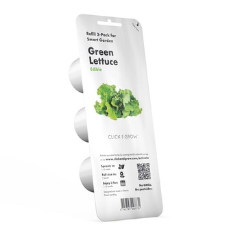 Seminte de salata verde, 50 g Seminte de salata verde, 50 g