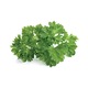 Seminte de patrunjel, 50 g
