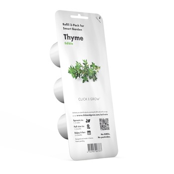 Seminte de cimbru, 50 g Seminte de cimbru, 50 g
