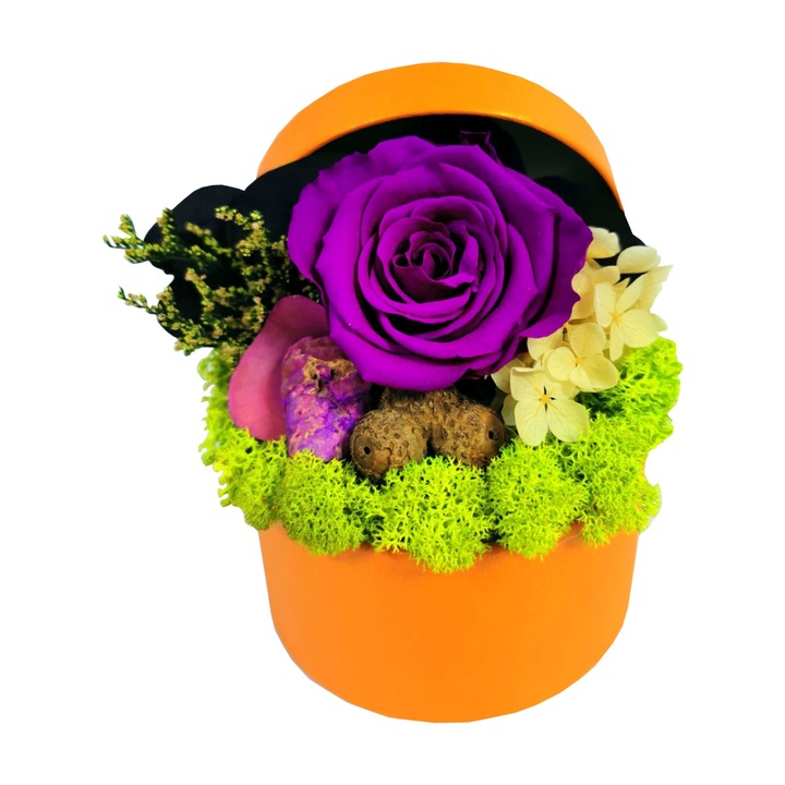 Aranjament floral in cutie cadou portocalie cu Trandafir Criogenat Mov inchis, Rose Amor, cu licheni stabilizati