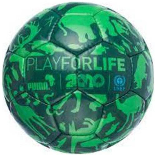 Minge fotbal Puma Future Play For Football, Green, 5
