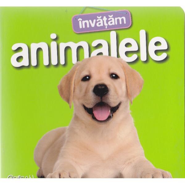 Invatam animalele