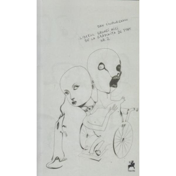 Liderul grupei mici de la gradinita de stat nr. 2 - Dan Ciupureanu