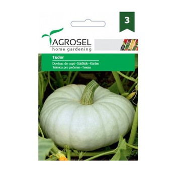 Seminte dovleac de copt, Tudor, Agrosel - plic 5 gr Seminte dovleac de copt, Tudor, Agrosel - plic 5 gr