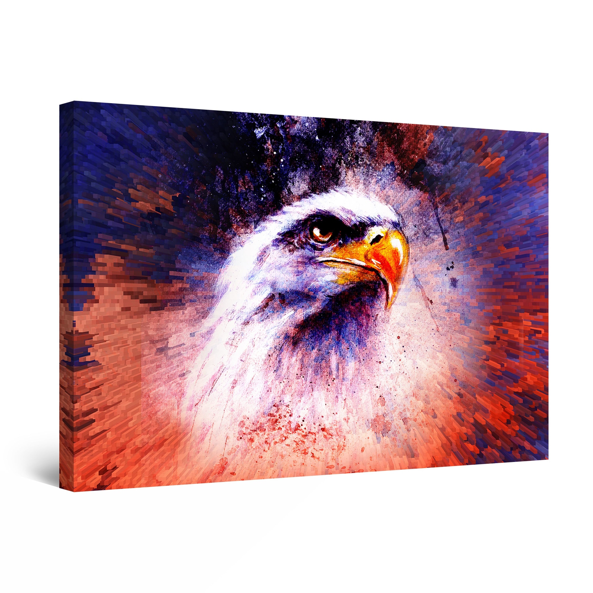 Tablou DualView Startonight Vultur American, luminos in intuneric, 30 cm x 20 cm