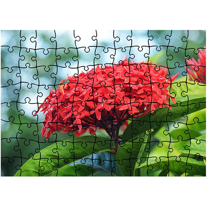 Puzzle Heartwork 96 piese, Floare Rosie, Latime 40,5 cm x Inaltime 28,7 cm