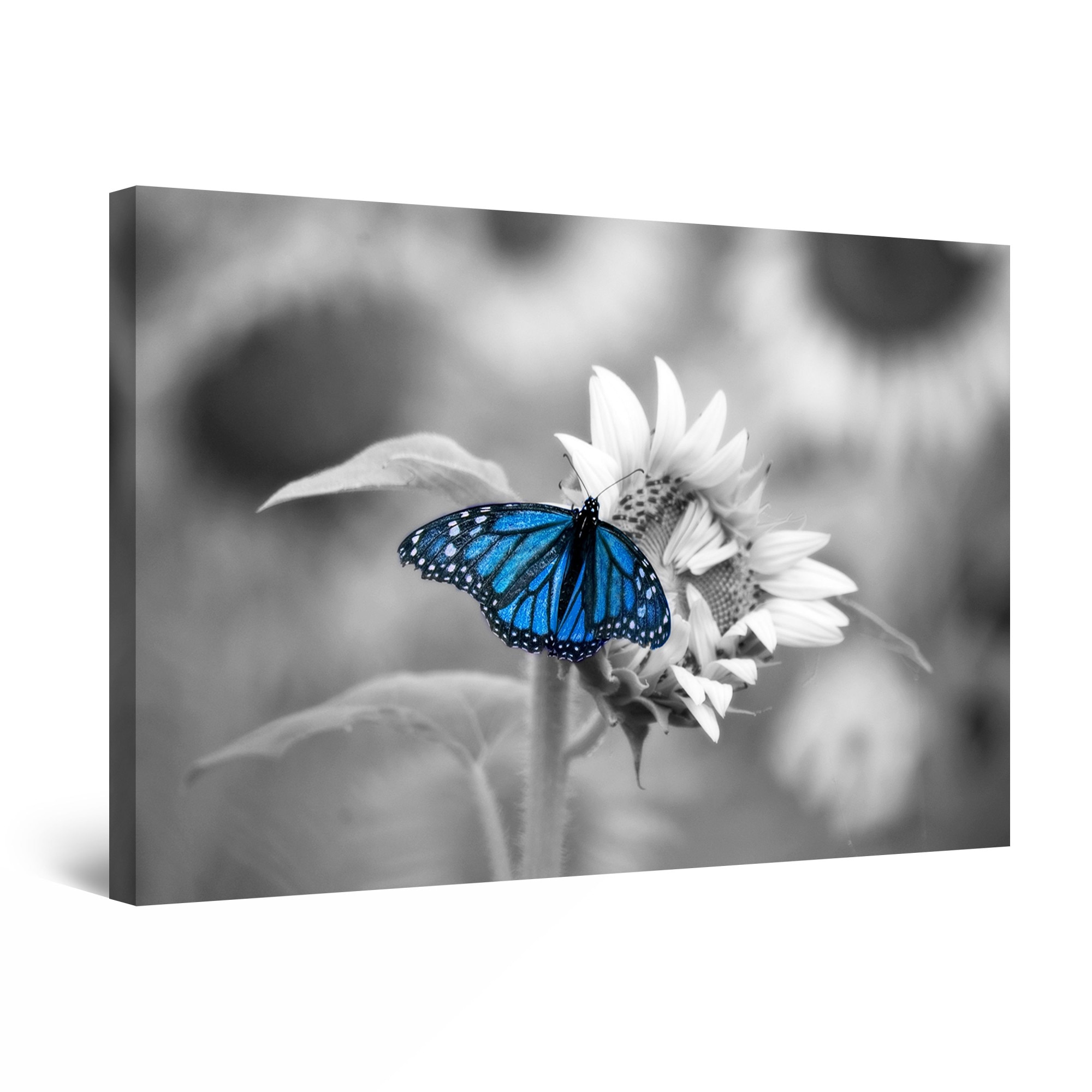 Tablou DualView Startonight Fluturi si Flori, luminos in intuneric, 90 cm x 60 cm