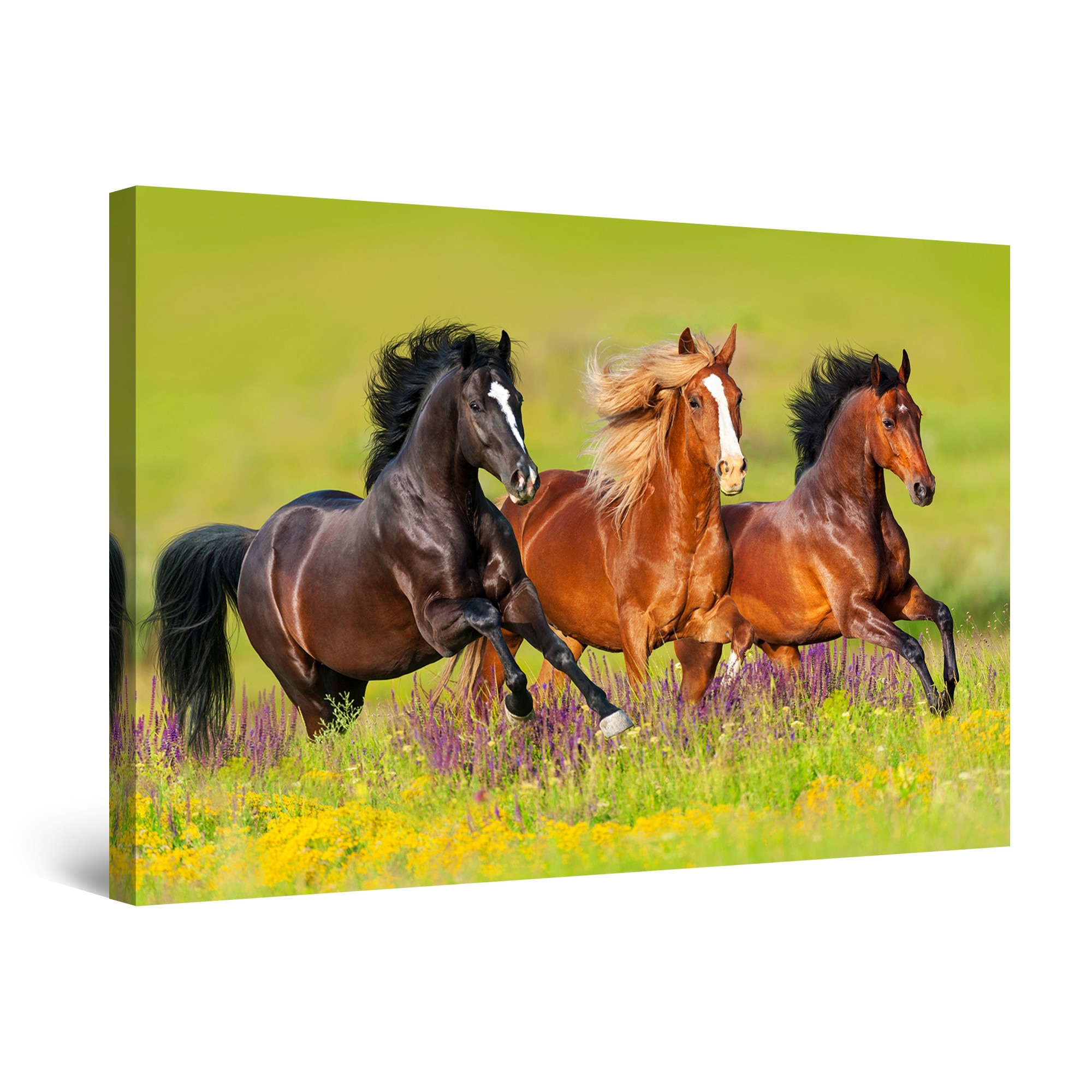 Tablou DualView Startonight Cai la Galop, luminos in intuneric, 120 cm x 80 cm