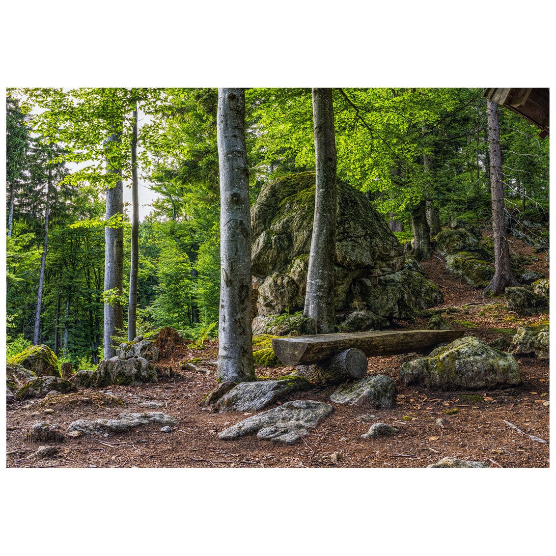Fototapet Autoadeziv Padure Bavareza - NWL-027, 140 x 200 cm