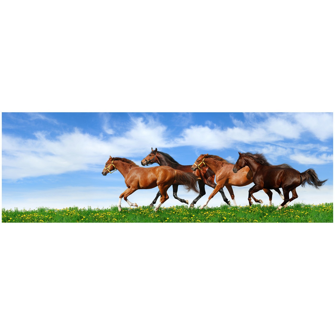 Fototapet Autoadeziv Cai - NWL-054, 75 x 225 cm