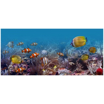 Fototapet Autoadeziv Acvatic Panorama - NWL-058, 75 x 165 cm Fototapet Autoadeziv Acvatic Panorama - NWL-058, 75 x 165 cm