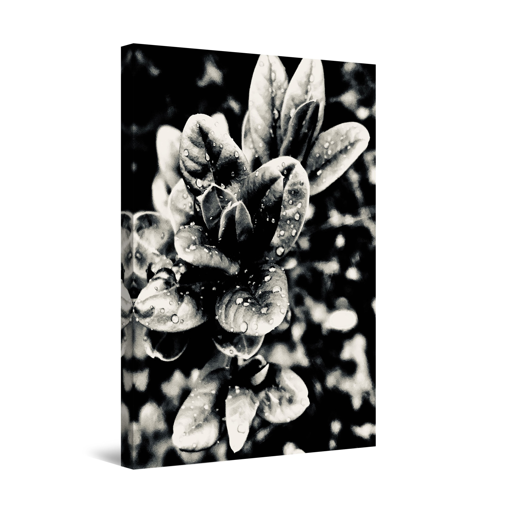 Tablou DualView Startonight Natura in Alb Negru, luminos in intuneric, 90 cm x 60 cm