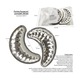 Forma fursecuri cornulet 24/set